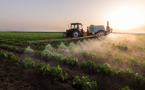 Pest Prevention Services in Appomattox, VA