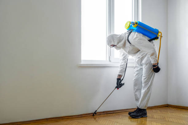 Best Affordable Pest Control Services  in Appomattox, VA