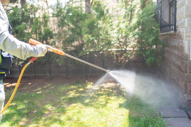 Best Pest Removal Services  in Appomattox, VA