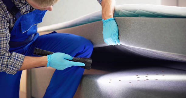 Best Affordable Exterminators  in Appomattox, VA
